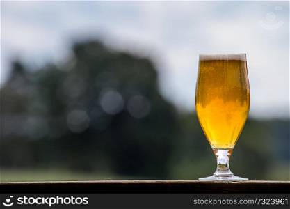 Glass of light beer with foam and bubbles on wooden table on nature background. Beer is an alcoholic drink made from yeast-fermented malt flavoured with hops.