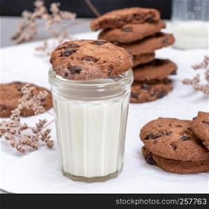 glass of milk and round chocolate chip cookies, close up