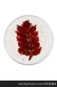 Glass of red ale beer top with wheat shape on white background top view