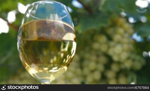 Glass of white wine and bunch of muscat white grapes