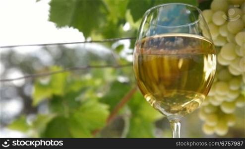 Glass of white wine and bunch of muscat white grapes