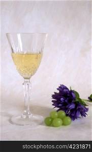 glass of white wine on painted background