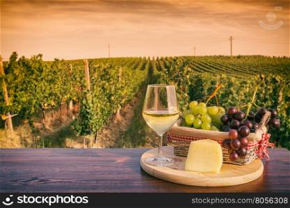 Glass of white wine with grapes in a basket and cheese in front of a vineyard at sunset. Glass of white wine in front of a vineyard at sunset