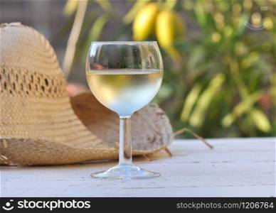 glass of wine chilled white wine on the table in a garden