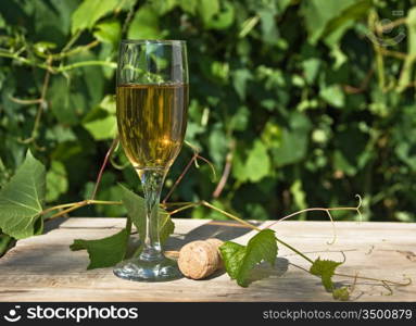 glass of wine on the background of the vineyard