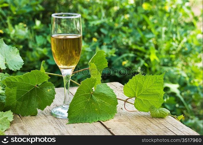 glass of wine on the table in the garden