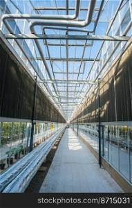 glass roof interior with pipes and walls in modern greenhouse, photo in length. the interior of the greenhouse