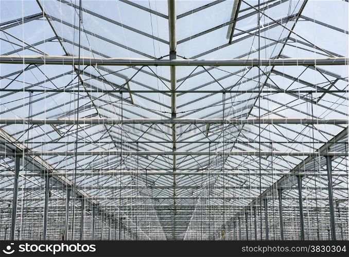 glass roof of greenhouse