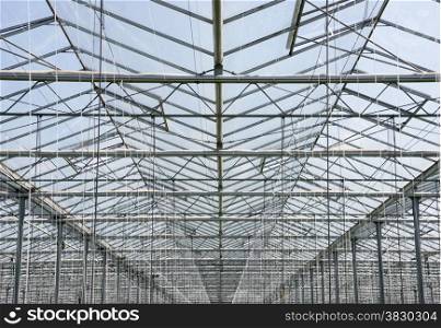glass roof of greenhouse