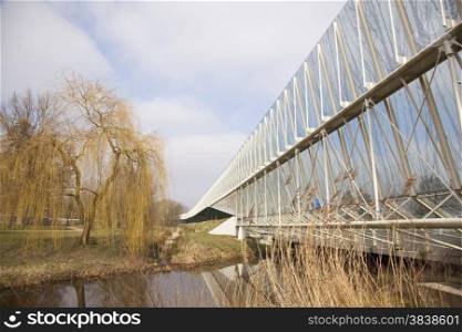 glass sound barrier and weeping willow in the dutch town of Amersfoort near motorway