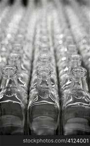 Glass square transparent bottles, factory lines and rows