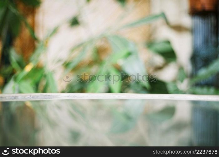 glass table blurred background plants