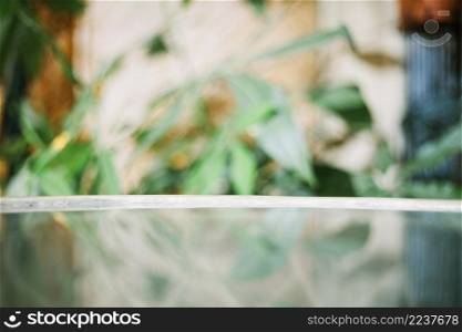 glass table blurred background plants