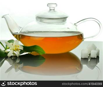glass teapot with green tea and lemon tree flowers