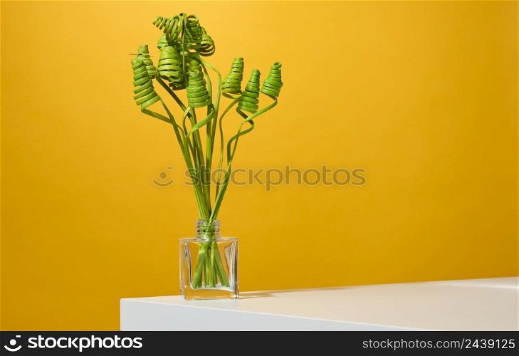 glass transparent vase with green dried flowers on a white table, yellow background