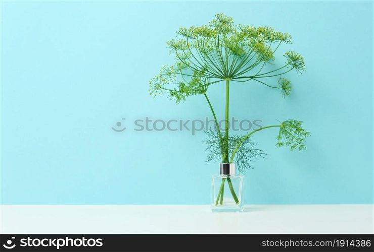 glass vase with a bouquet of dill on a white table. Minimalism in the interior