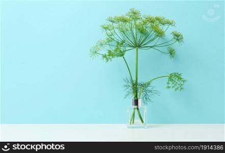 glass vase with a bouquet of dill on a white table. Minimalism in the interior