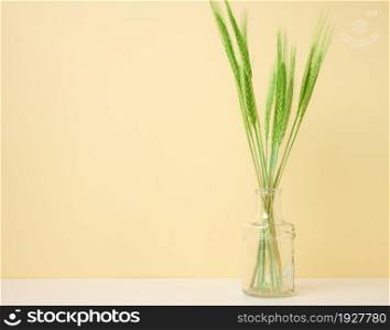 glass vase with green ears of wheat on white table