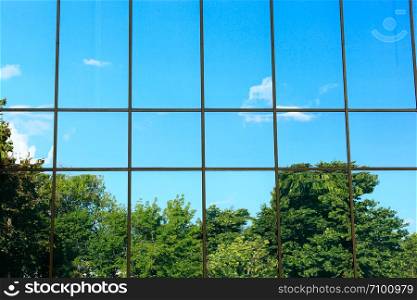 Glass wall. Reflection of trees in the window.