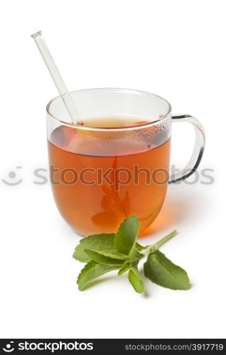 Glass with tea and fresh Stevia rebaudiana leaves as sweetener on white background