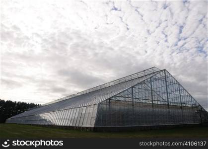 Glasshouse farming salad crops