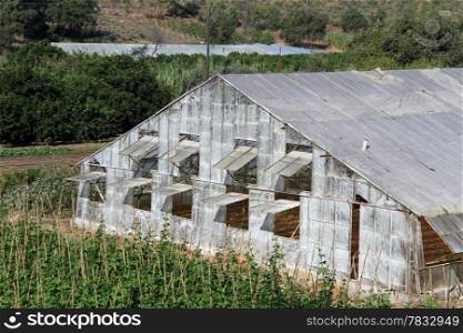 Glasshouse with open windows in farm, Turkey
