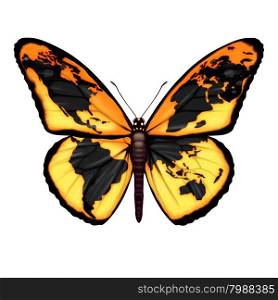 Global Butterfly symbol for the environment or migrant refugee crisis escaping to freedom from world crisis zones as a migratory insect with a map of the planet earth as a metaphor for international social and ecological hope.