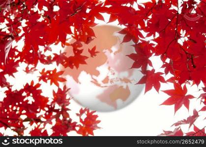 Globe and Colored leaves