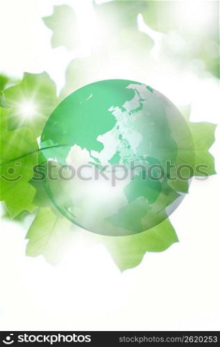 Globe and fresh green