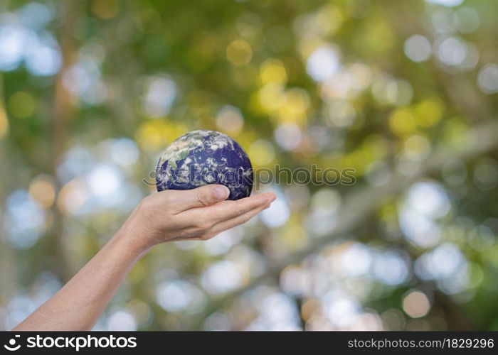 Globe, earth in human hands over green nature background. Idea for save the world. Elements of this image furnished by NASA