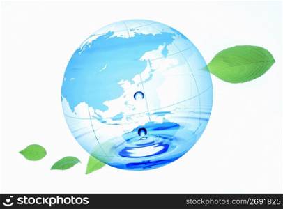 Globe, Fresh green, Water surface
