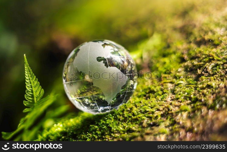 globe glass on grass with sunshine. environment concept