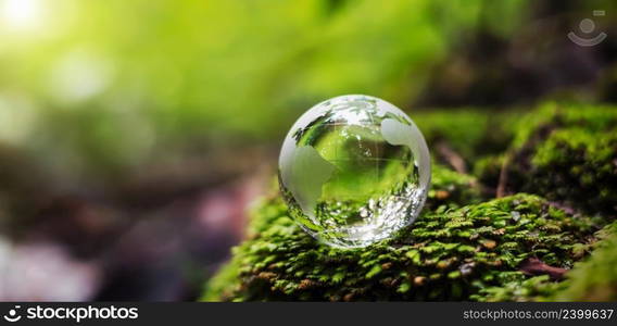 globe glass on grass with sunshine. environment concept