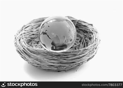 Globe in the nest. White background