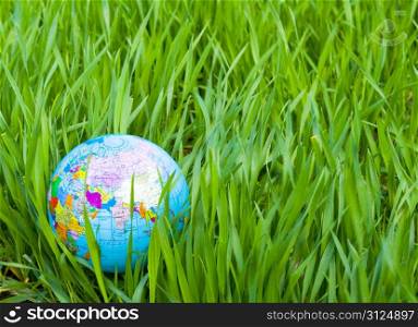 globe is placed on green grass