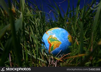 globe of planet earth in green grass