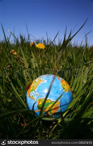 globe of planet earth in green grass
