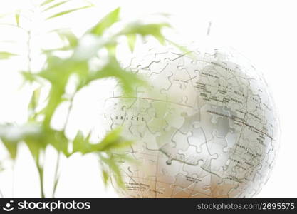 Globe,Terrestrial globe