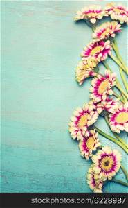 Glorious flowers bunch on turquoise blue shabby chic background , top view, border. Festive greeting or invitation card with gerbera flowers, vertical.