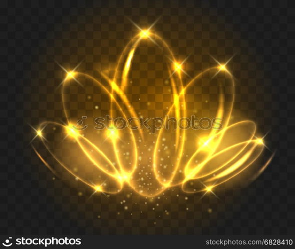 Glowing light circles on transparent background. Glowing light circles isolated on transparent background. Golden lights motion abstract effects on dark backdrop vector illustration