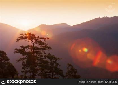 Glowing sunrise shines over mountains and pine forest, bright lens flare ray from the sun.