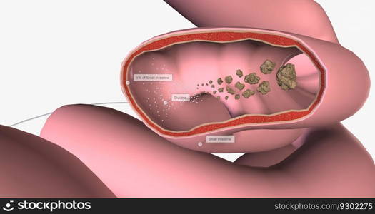 Glucose is the body primary source of fuel and is either converted into energy within cells 3D rendering. Glucose is the body primary source of fuel and is either converted into energy within cells