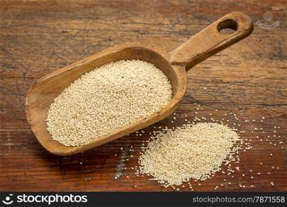 gluten free amaranth grain on a rustic wooden scoop against grunge wood table