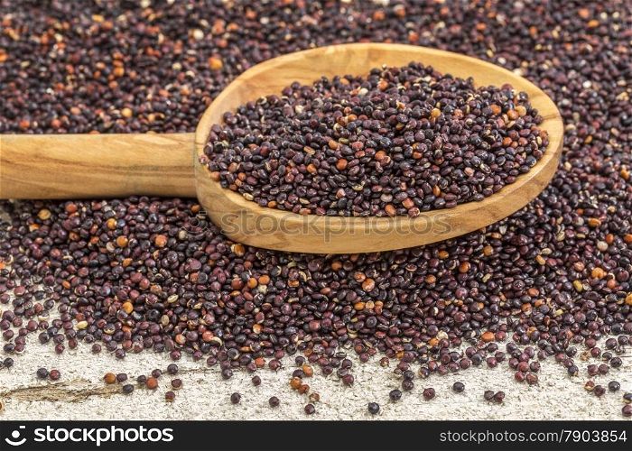 gluten free black quinoa grain grown in Bolivia on a wooden spoon against white painted grunge wood