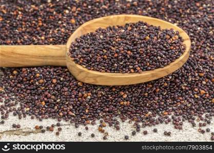 gluten free black quinoa grain grown in Bolivia on a wooden spoon against white painted grunge wood