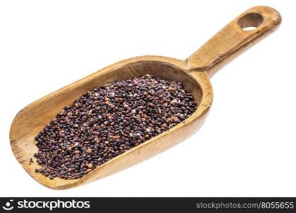 gluten free black quinoa grain on a rustic wooden scoop, isolated on white