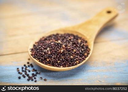 gluten free black quinoa grain on a wooden spoon against blue painted grunge wood