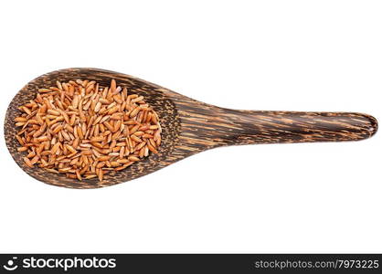 gluten free brown rice grain on a wooden spoon isolated on white