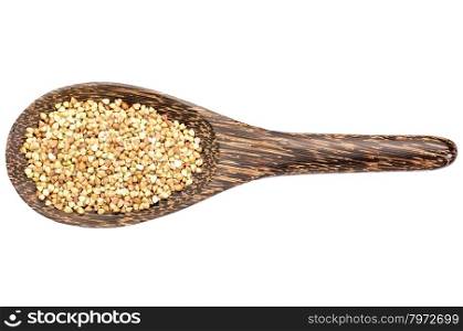 gluten free buckwheat pseudograin on a wooden spoon isolated on white