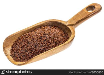 gluten free kaniwa (baby quinoa) grain on a rustic wooden scoop, isolated on white